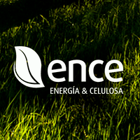 Ence se aproxima a zona muy interesante de&nbsp;compra